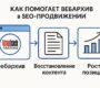Как помогает Вебархив в SEO-продвижении